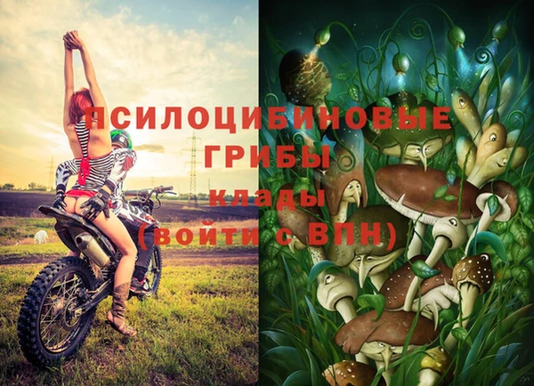 дмт Аксай