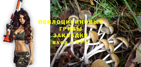 ECSTASY Медвежьегорск