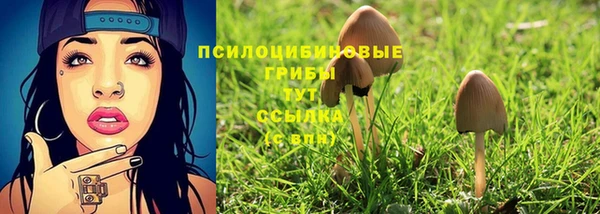 ECSTASY Медвежьегорск