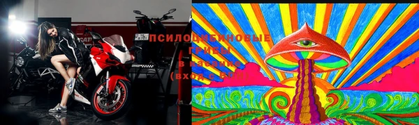 ECSTASY Медвежьегорск