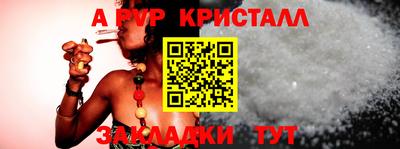 шишки Бийск