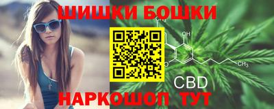 шишки Бийск