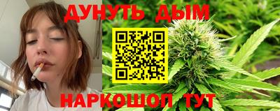 шишки Бийск