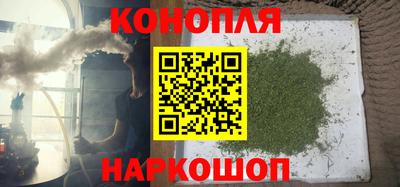 шишки Бийск