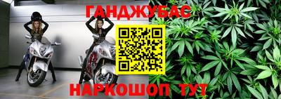 шишки Бийск