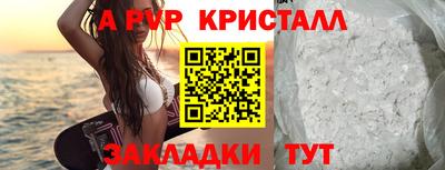 шишки Бийск