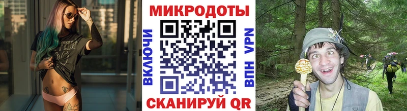 Псилоцибиновые грибы GOLDEN TEACHER Нефтекамск