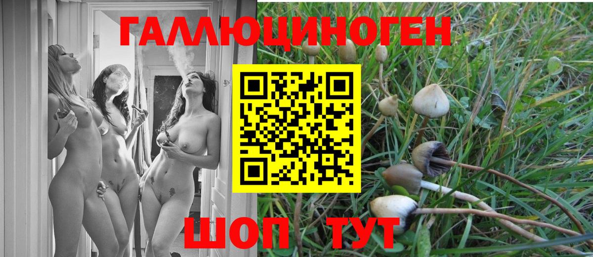 Галлюциногенные грибы GOLDEN TEACHER  Вход с VPN  Нефтекамск 